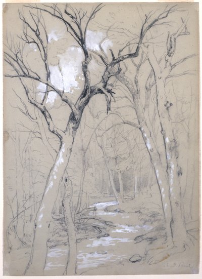 A Brook in the Woods, 1854 (grafiitti, valkoinen guassi ja valkoinen lyijypigmentti harmaanvihreällä paperilla) tekijältä Asher Brown Durand